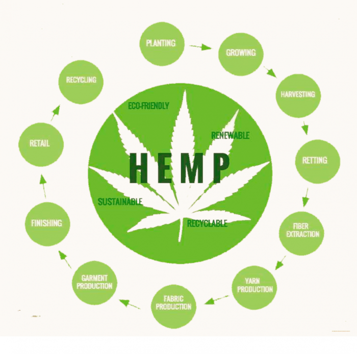 The Complete Cycle of Hemp Clothing Manufacturing